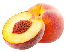 nectarine