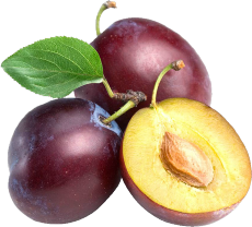 plum