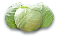 cabbage