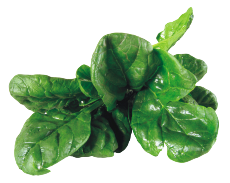 spinach