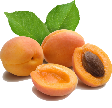 apricot